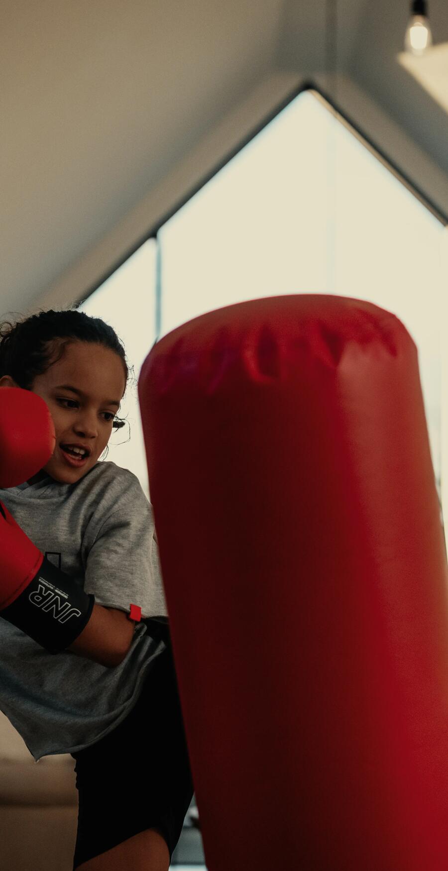 Boxing machine 100