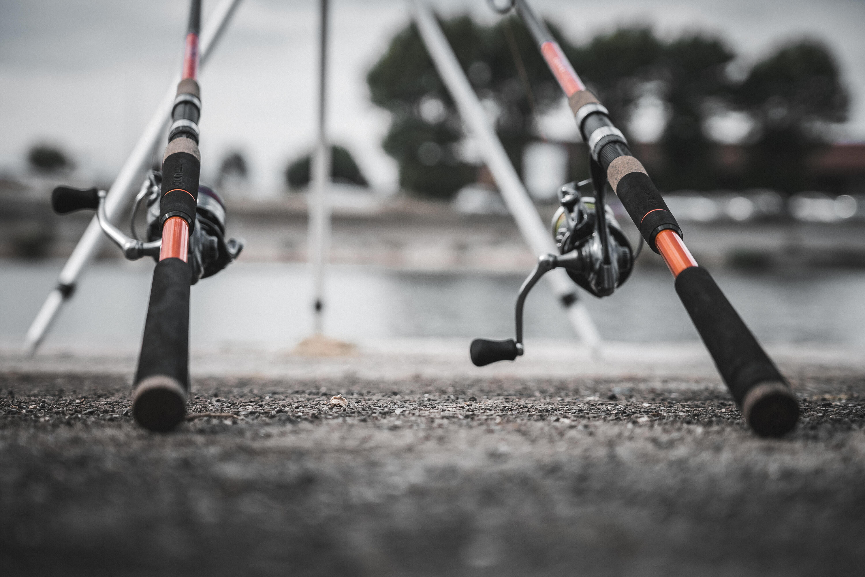 CANNE PÊCHE EN MER AU POSÉ DU BORD SEACOAST-5 390 telesco 7/7