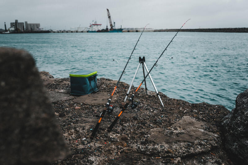 Cosa serve per iniziare la pesca dell'orata?