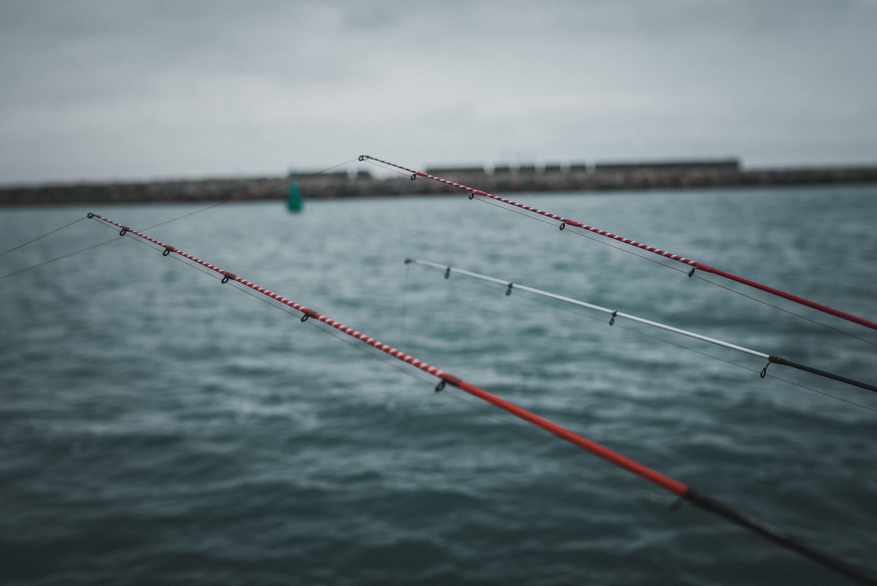 CANNE PÊCHE EN MER AU POSÉ DU BORD SEACOAST-5 390 telesco 5/7
