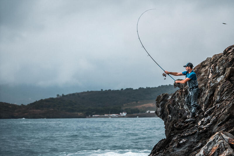 Comment choisir son équipement pour pêcher la seiche ?