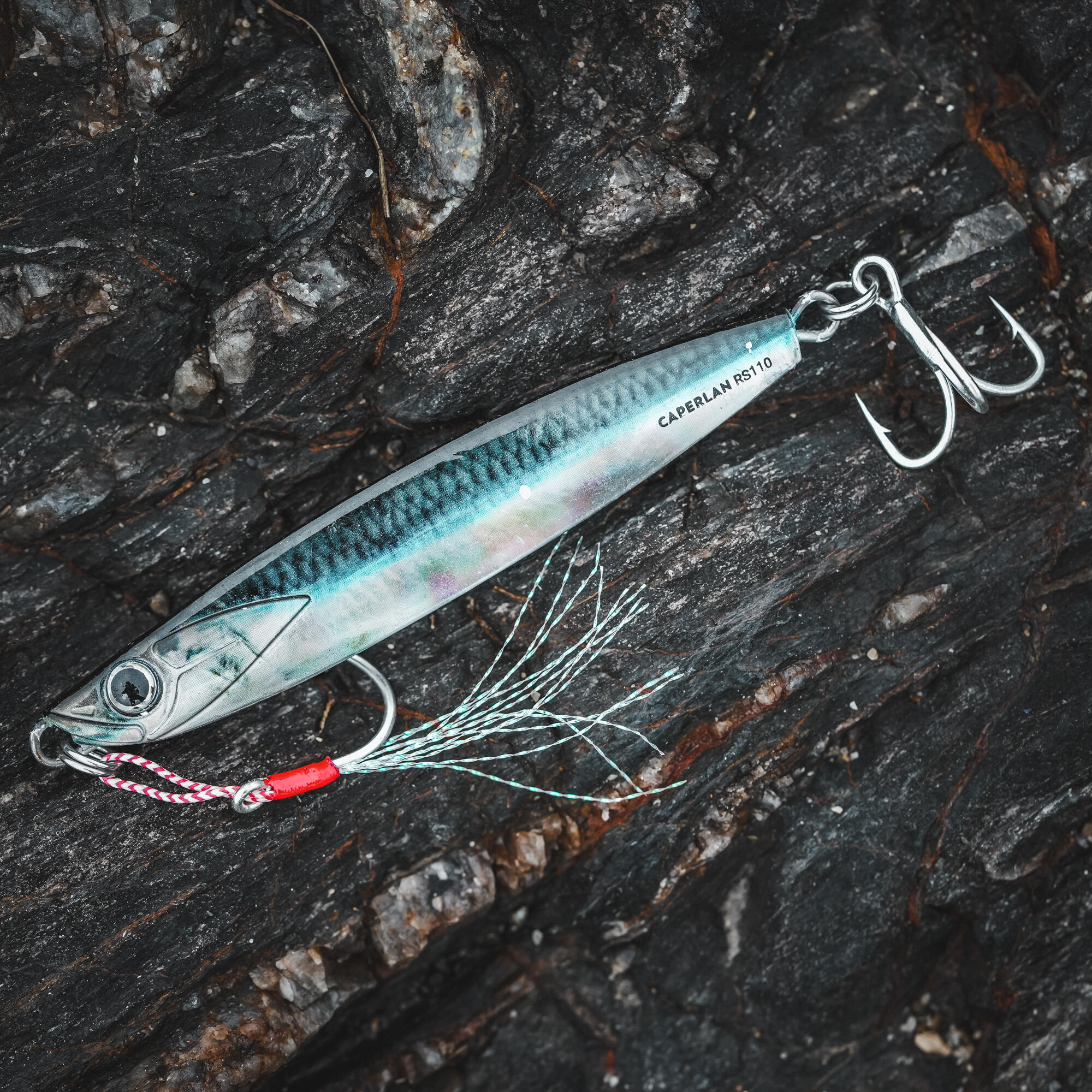 Sea lure fishing BIASTOS 110 g SPOON - ANCHOVY 3/8