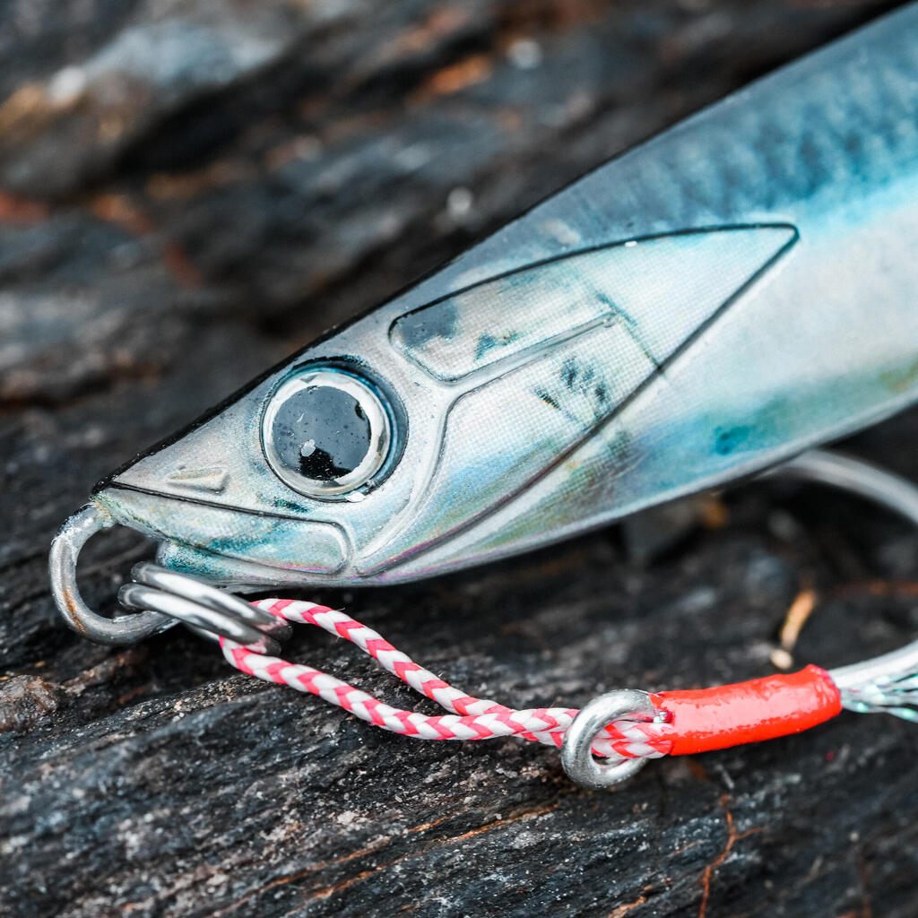 Cuiller biastos 110gr anchois pêche au leurre en mer