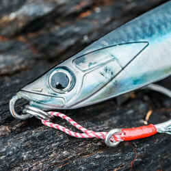 Sea lure fishing BIASTOS 110 g SPOON - ANCHOVY