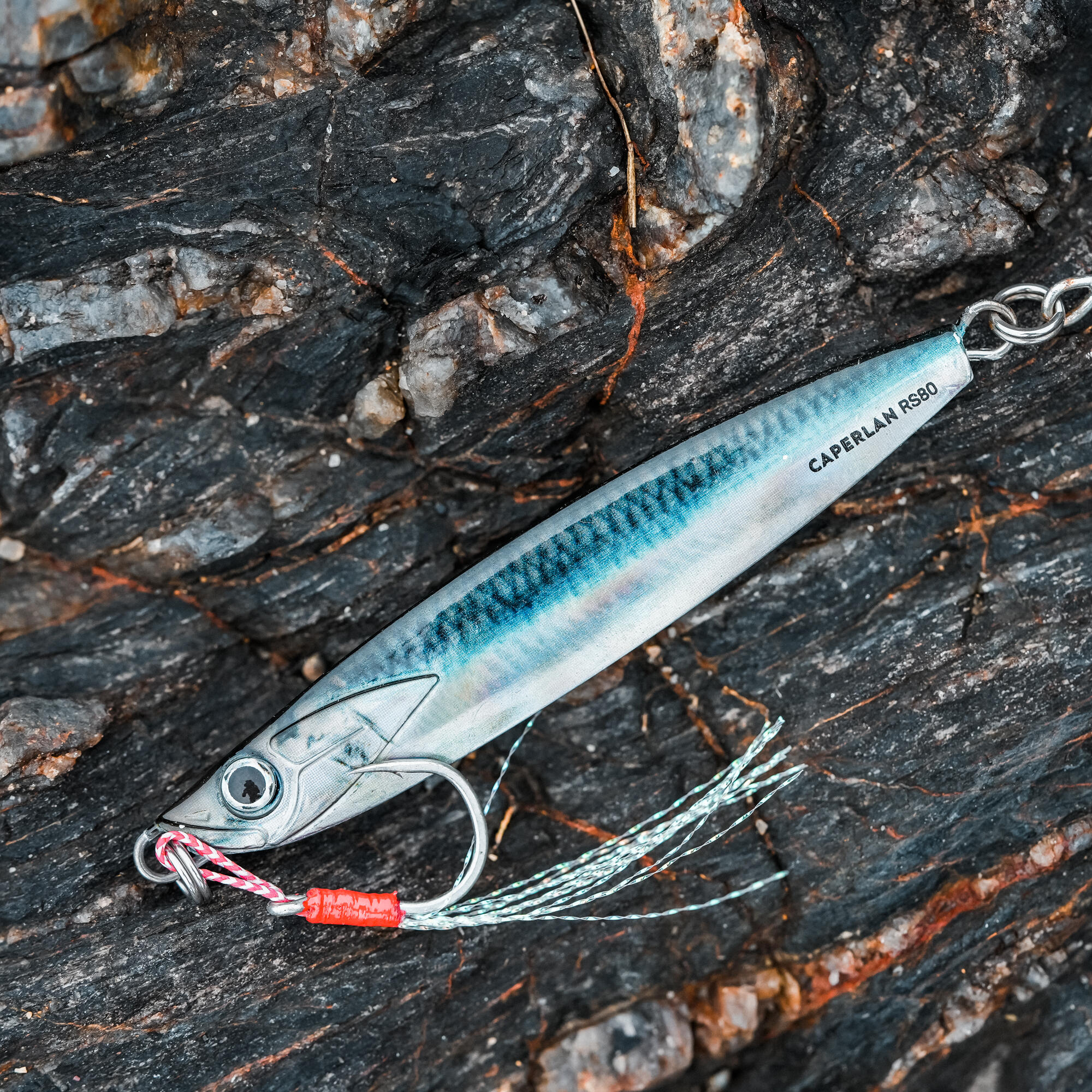 Sea lure fishing BIASTOS 80 g SPOON - ANCHOVY 2/8