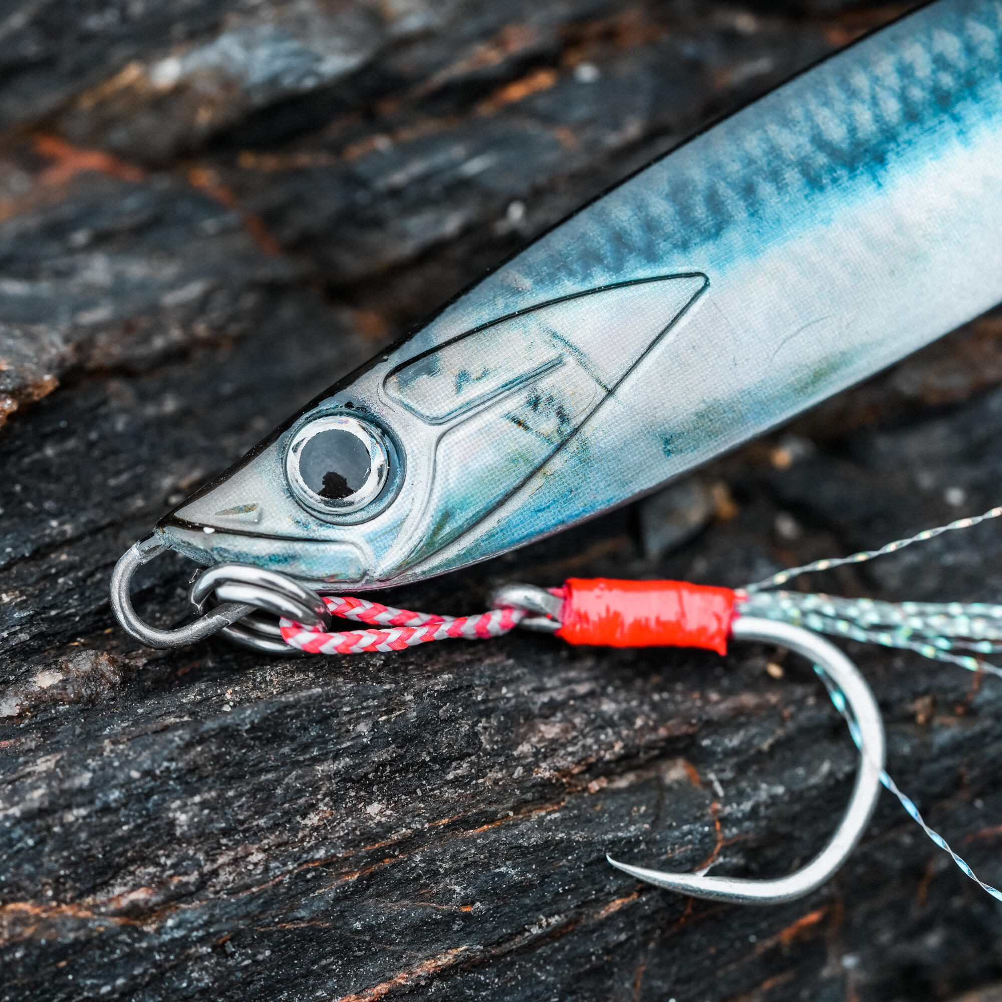 Cuiller biastos 80gr anchois pêche au leurre en mer 5/11