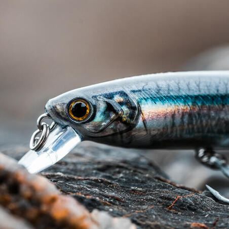 Poisson nageur SAXTON 110F Anchois pêche au leurre en mer