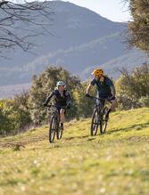 Fat Bike