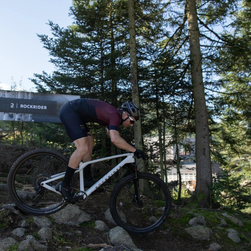 XC Mountain Bike Race 900 GX Eagle, Mavic Crossmax Wheels, Carbon Frame