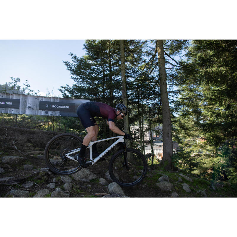 Mountainbike Cross Country – Race 900 GX Carbonrahmen Laufräder Mavic Crossmax
