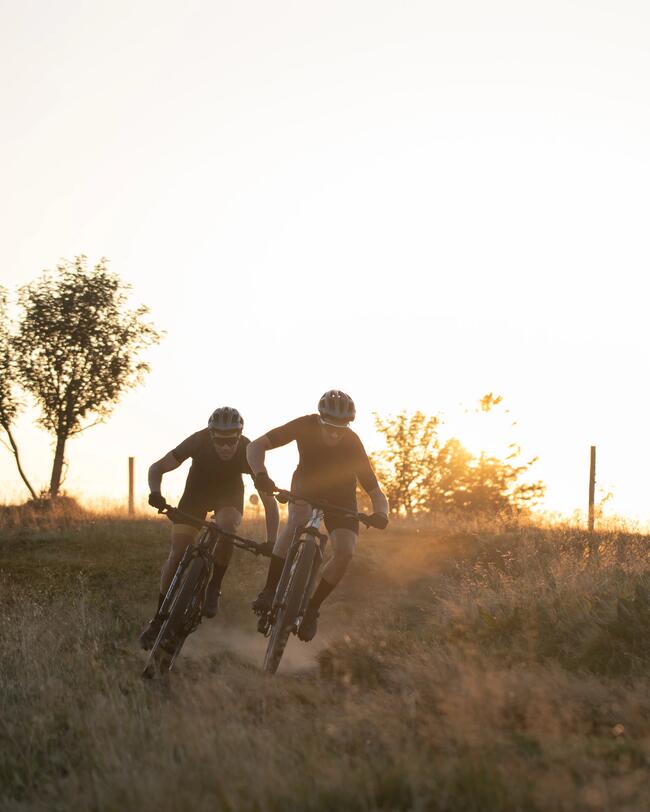 Mountainbike Race 900 GX Mavic