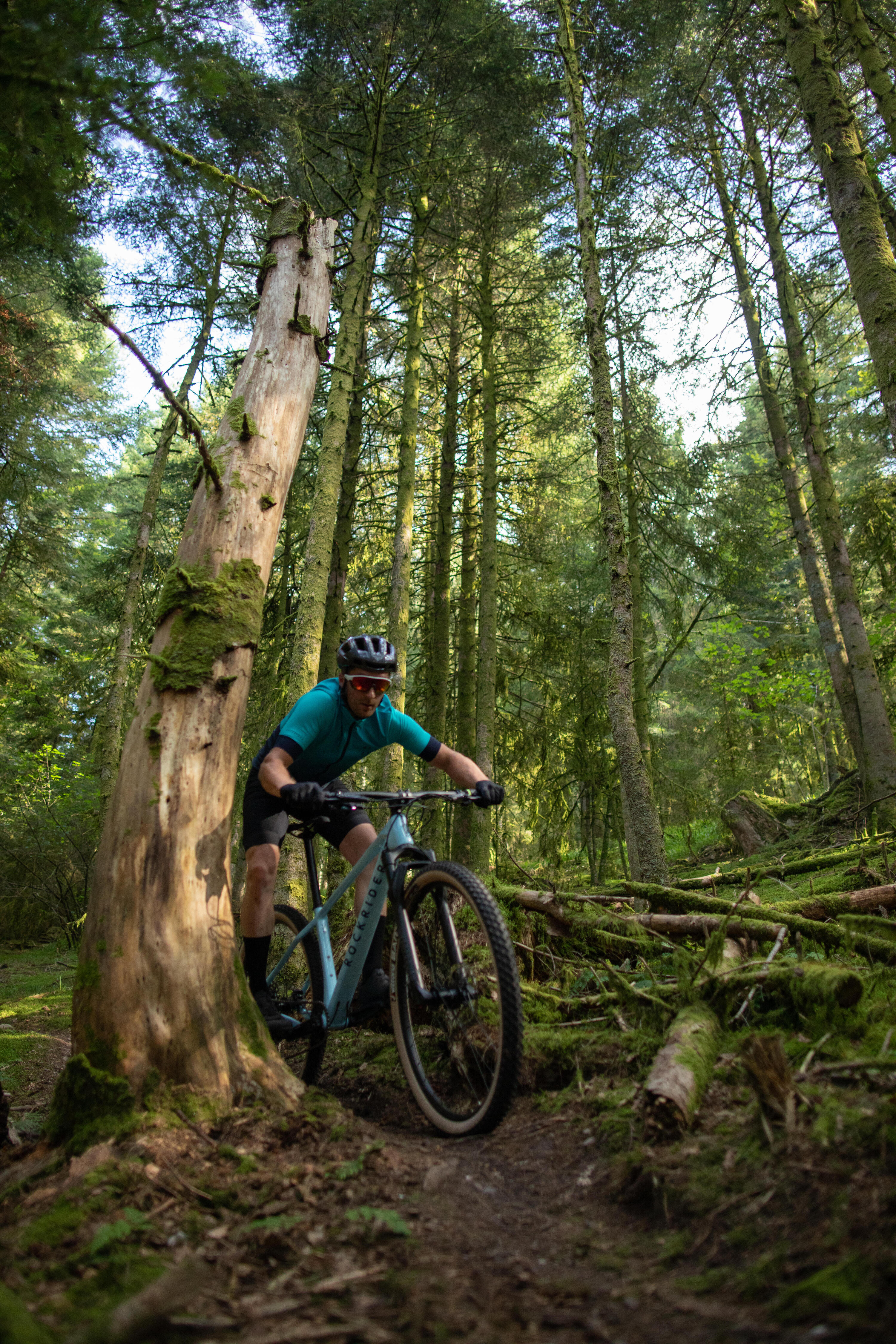 Cross Country Mountain Bike Race 740 Carbon Frame Green