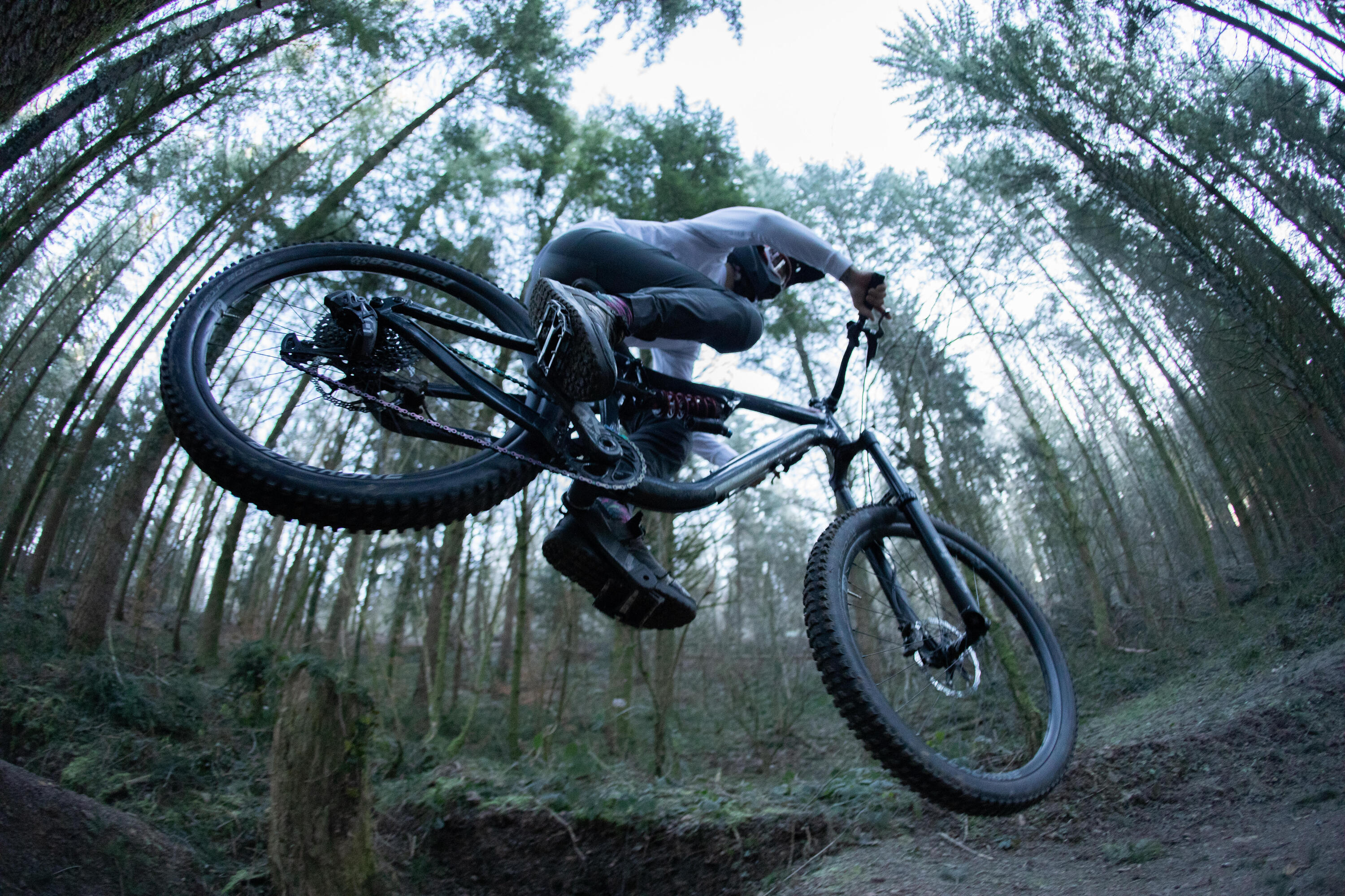 Copertone MTB GRIP 500 29' x 2,4 8/16