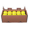 Feldhockeyball glatt - FH500 20er-Box gelb