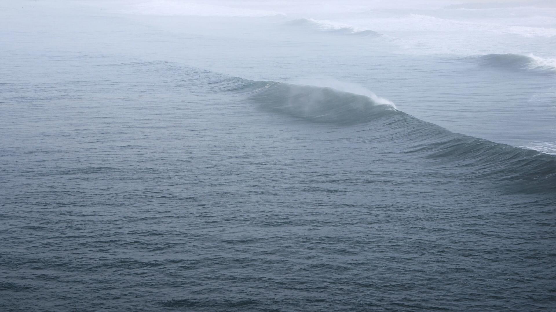 PAROLES DE BODYBOARDEUSES : LES FILLES DANS LE MONDE DU BODYBOARD.