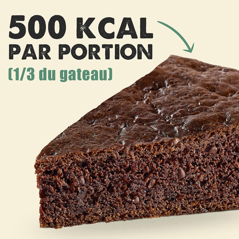 ENERGIECAKE Gatosport chocolade 400 g