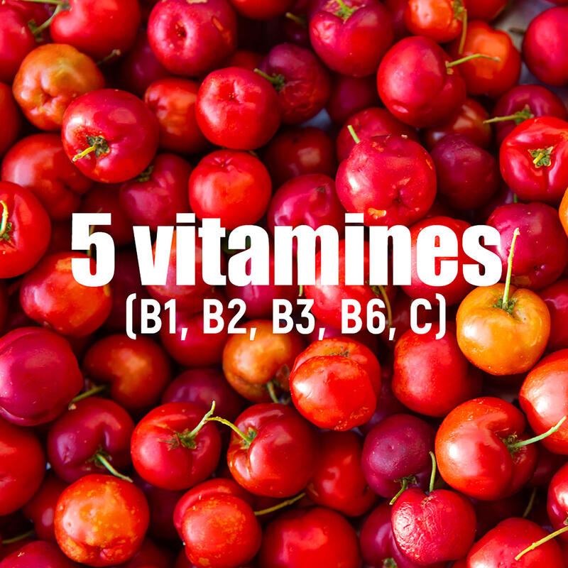 Boisson électrolytes Fruits rouges (zéro calorie) - étui 10 sachets x 8 g