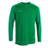 Futbalový dres s dlhým rukávom VIRALTO CLUB zelený