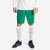 Adult Football Shorts Viralto Club - Green