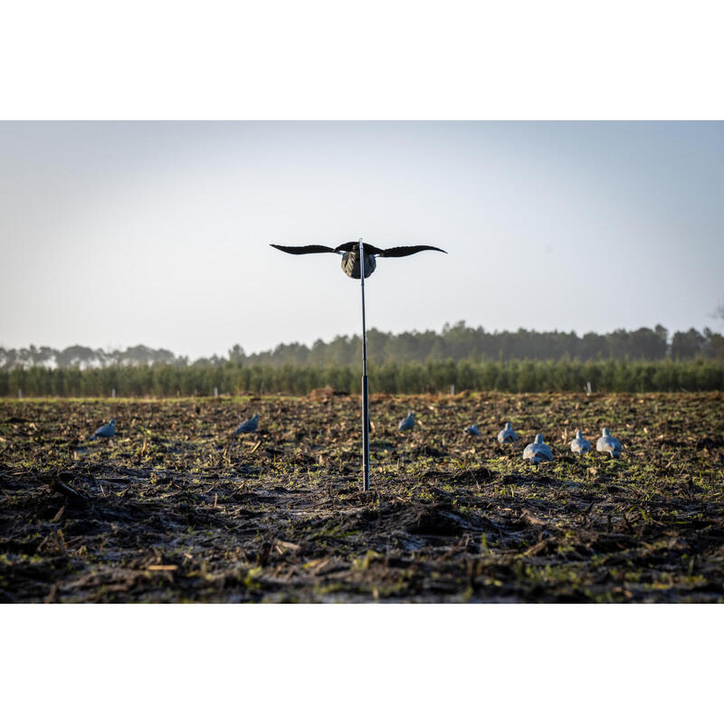 Reclamo Caza Forma Paloma Solognac 920 Cimbel Flotante Alas Batientes