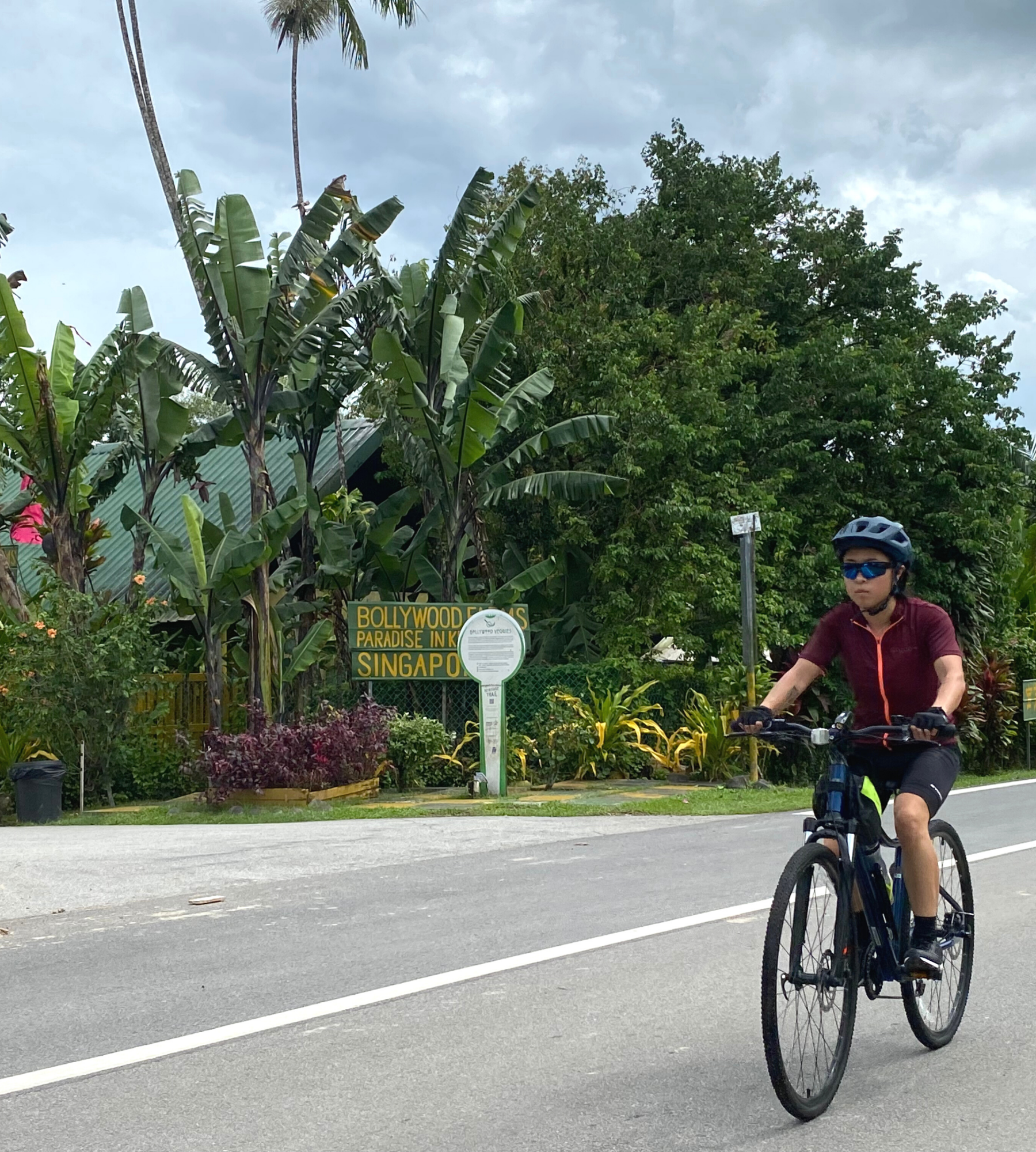 GUIDE TO SINGAPORE ROUND ISLAND CYCLING ROUTE