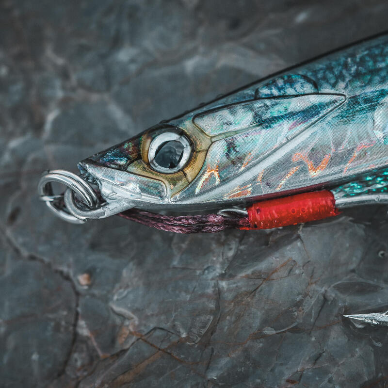 Casting jig voor vissen met kunstaas in zee Biastos Assist 60 g harder