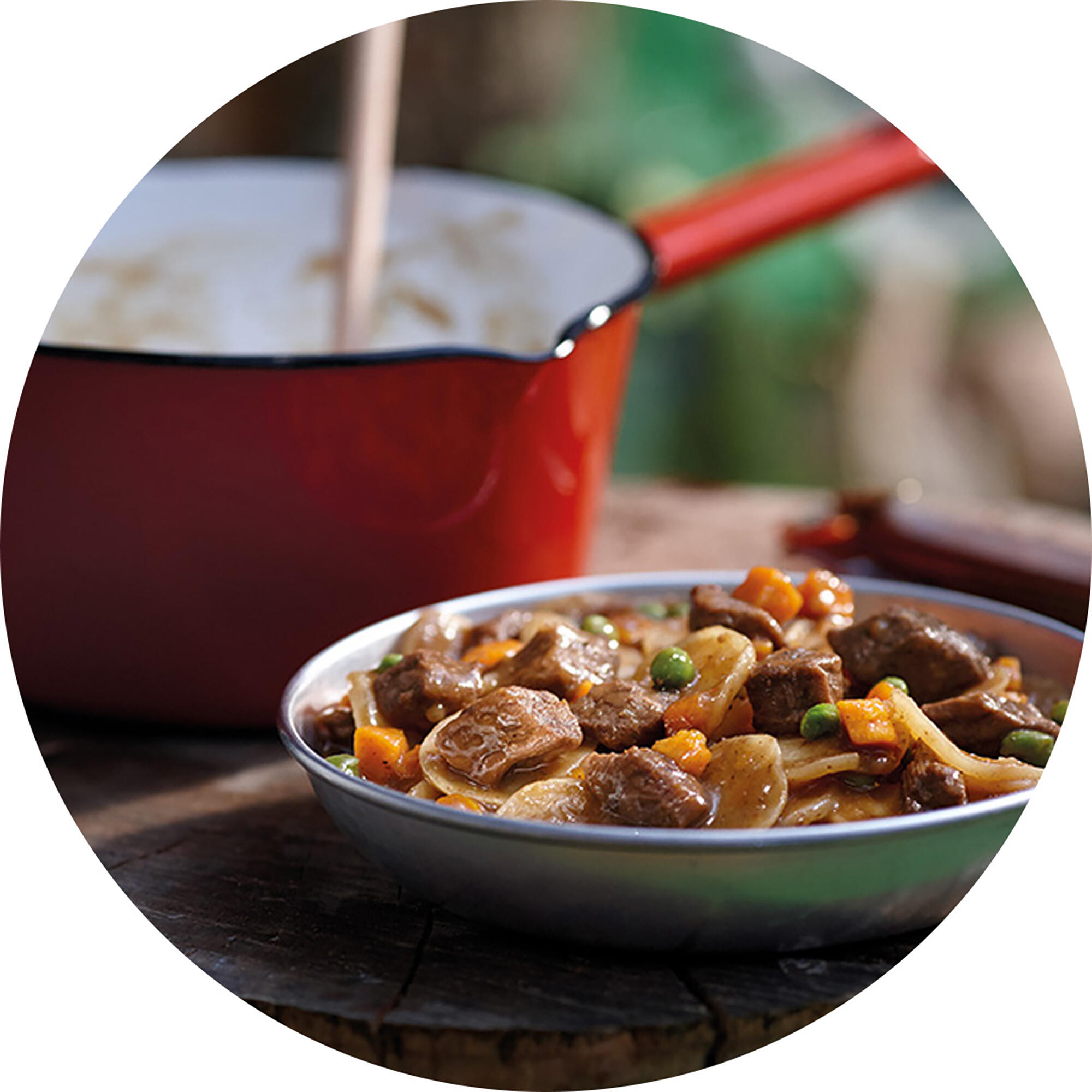Mijoté de bœuf aux légumes et pommes de terre - HAPPY YAK