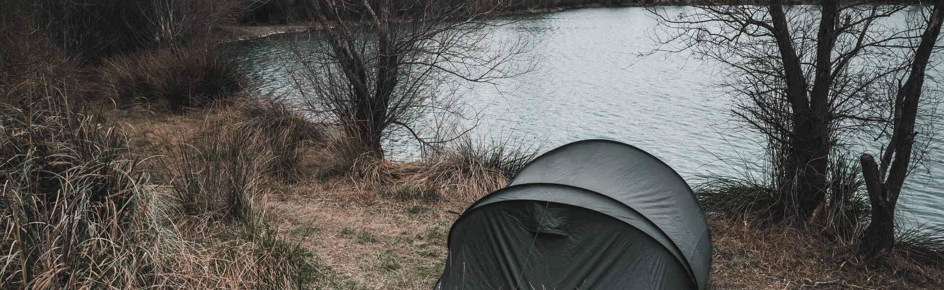 Os benefícios da pesca à carpa 