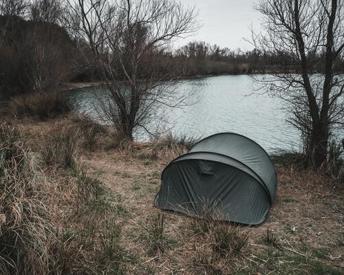 Os benefícios da pesca à carpa 