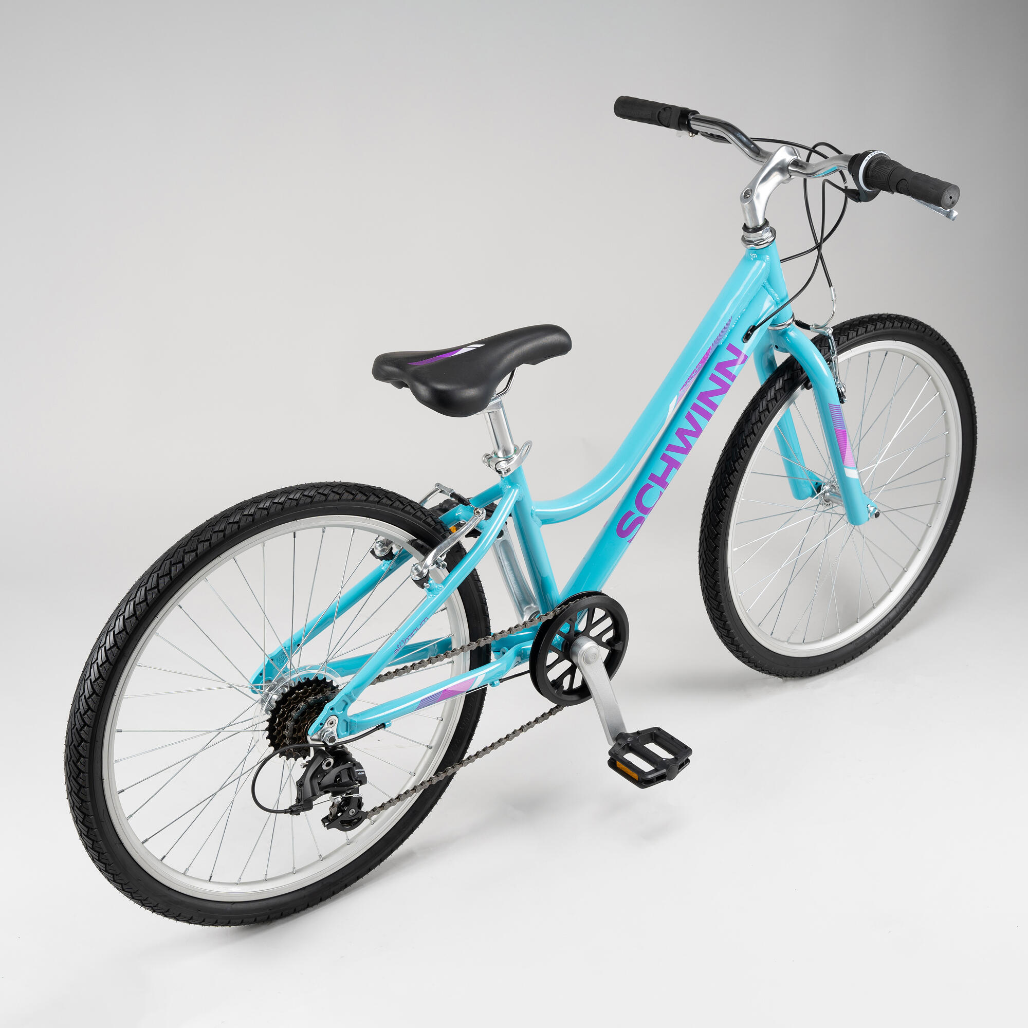 Schwinn 24\