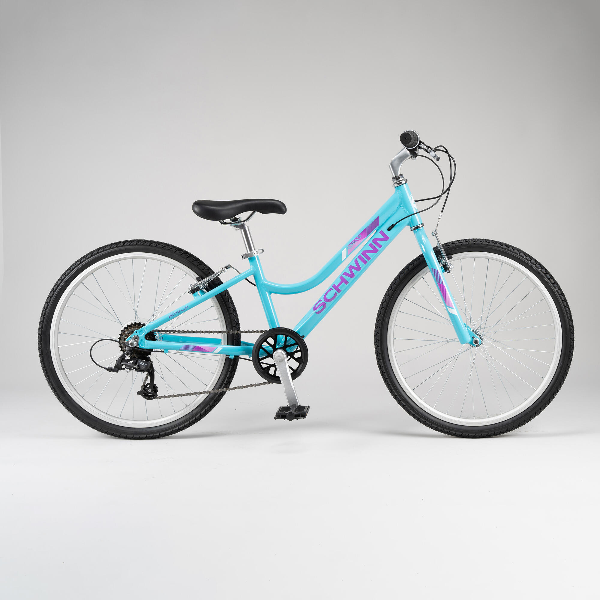 Schwinn 24\