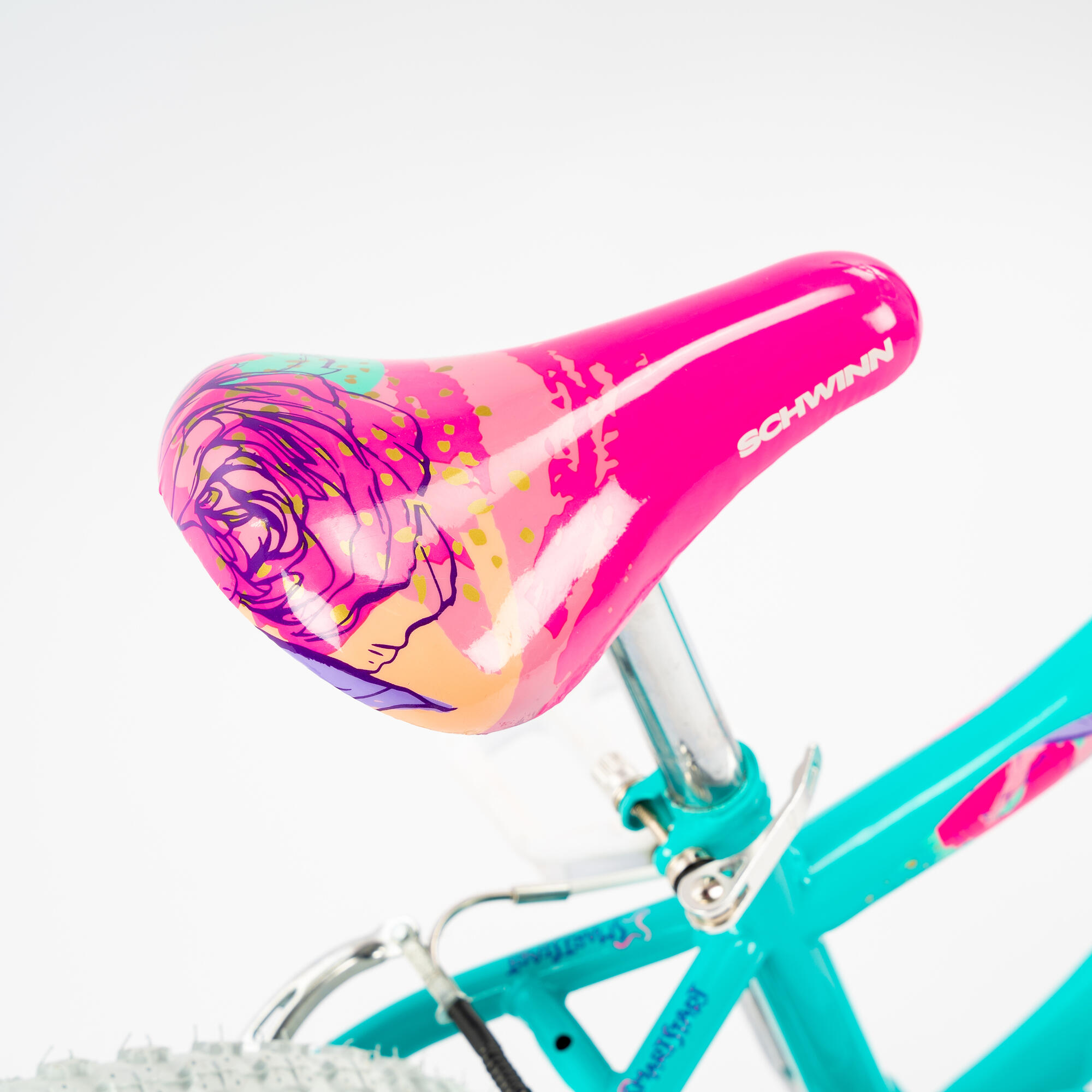Schwinn 20\