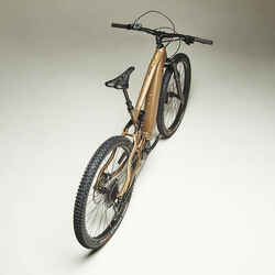 Electric Mountain Bike E-All Mountain