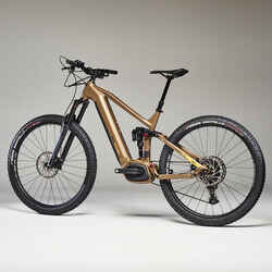 Electric Mountain Bike E-All Mountain