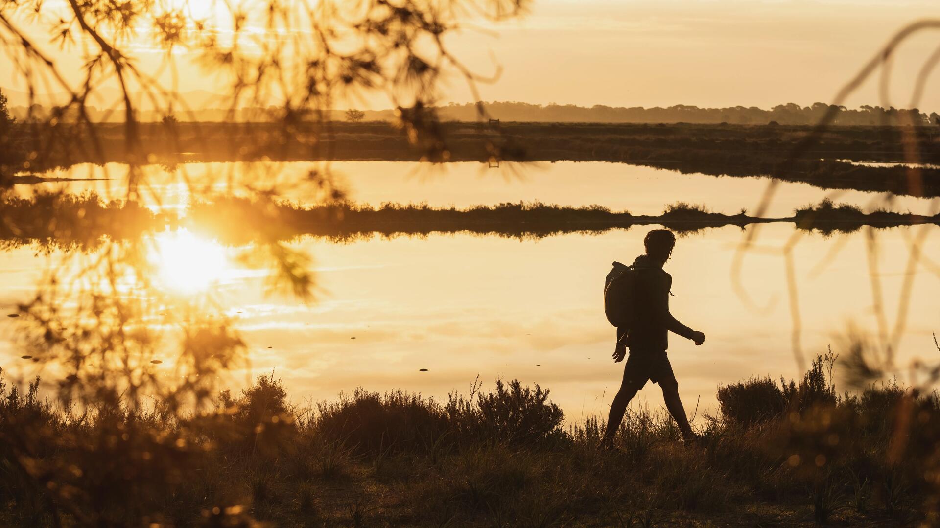 Wandelen in Gelderlands: de mooiste routes