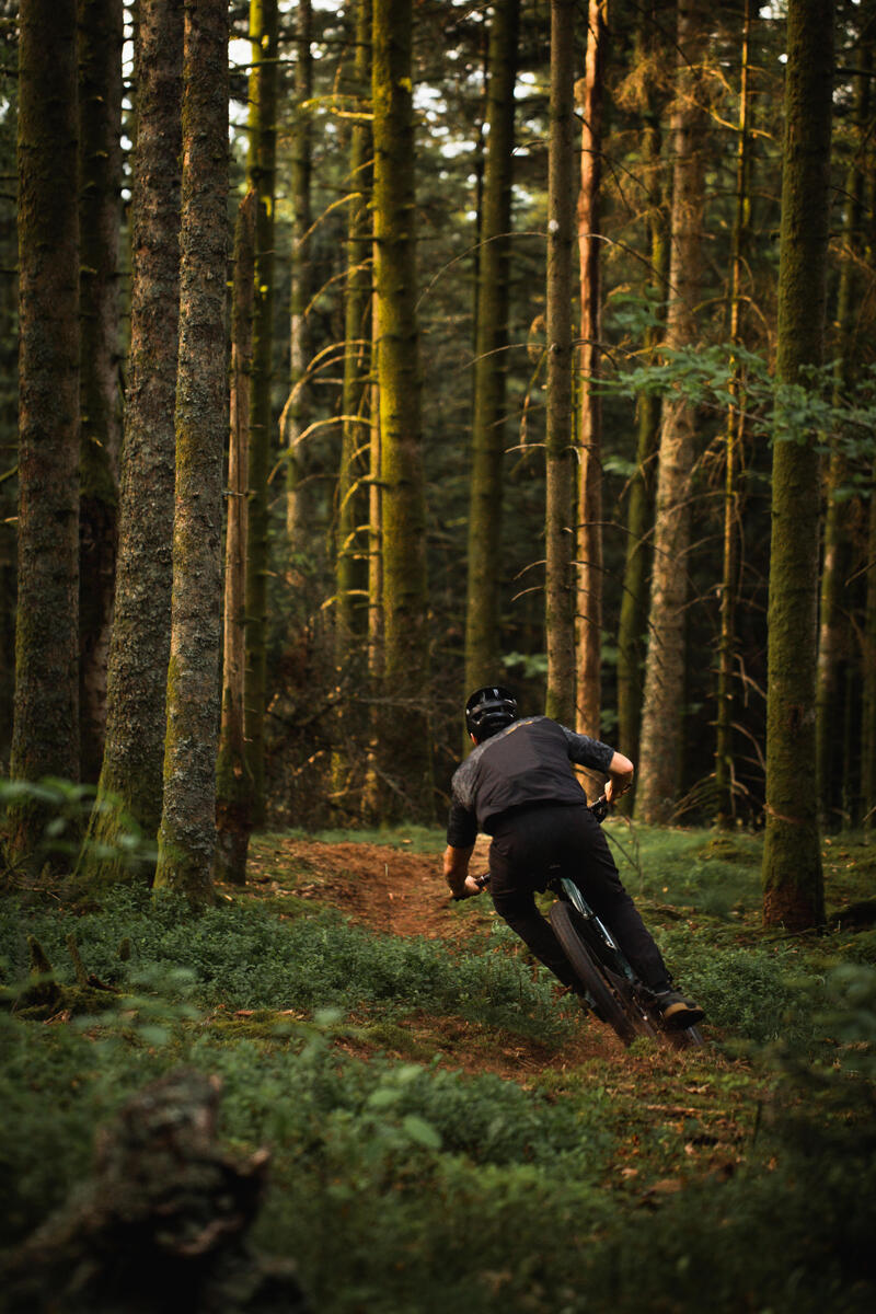 Vestă protecție spate schi/snowboard/MTB DBCK500 Gri Bărbați