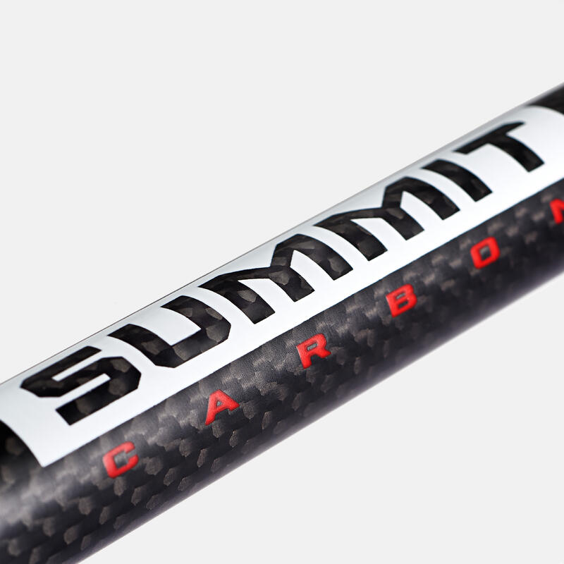 Paire de bâtons FUJI Carbon Summit Poles