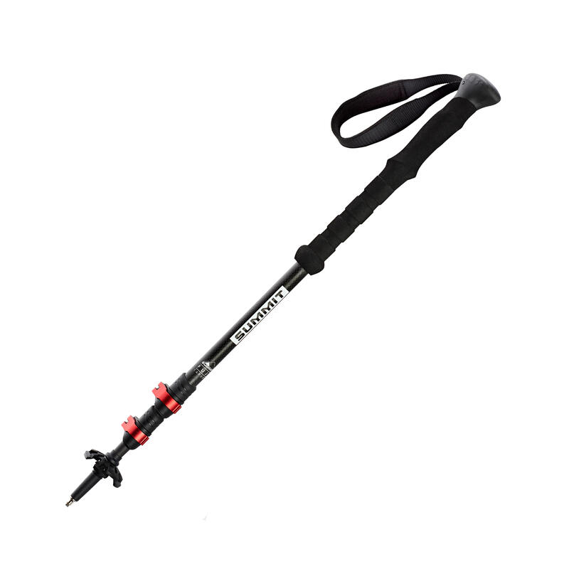 Paire de bâtons FUJI Carbon Summit Poles