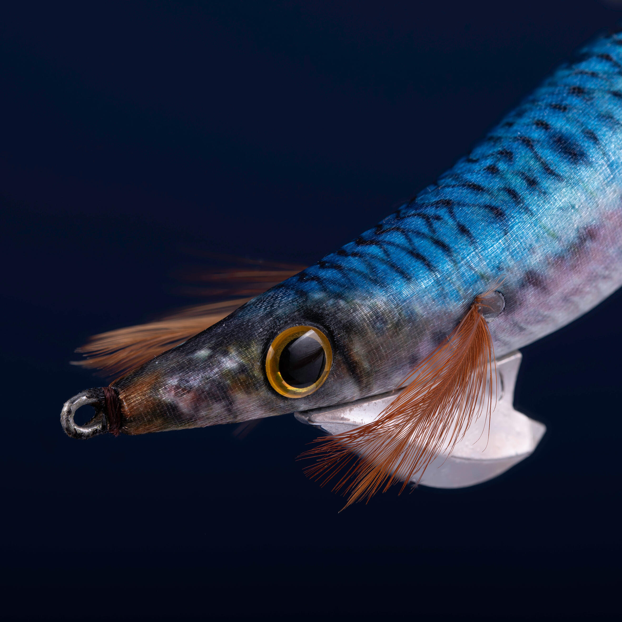 Turlutte coulante shallow ebika 3.0/120 bleu sardine pêche des seiches/calamars 3/5