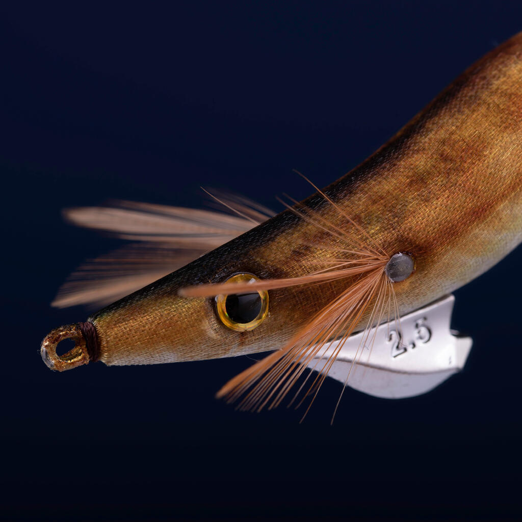 Squid and Cuttlefish Fishing Shallow Jig EBIKA 2.5/105 pink