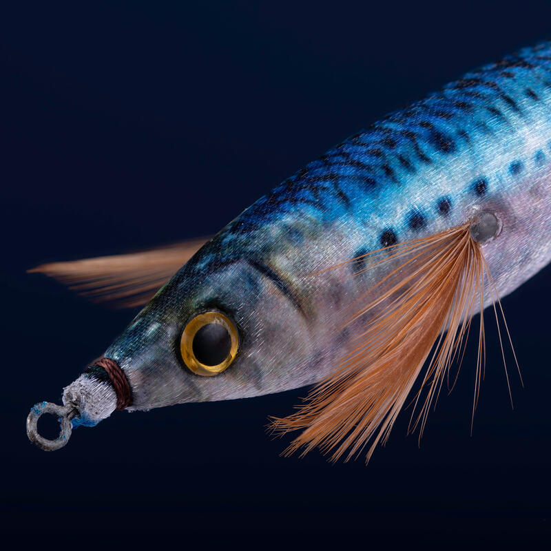 Tintenfischköder schwimmend für Sepien und Kalmare Ebiflo 2.5/110 blaue Sardine 