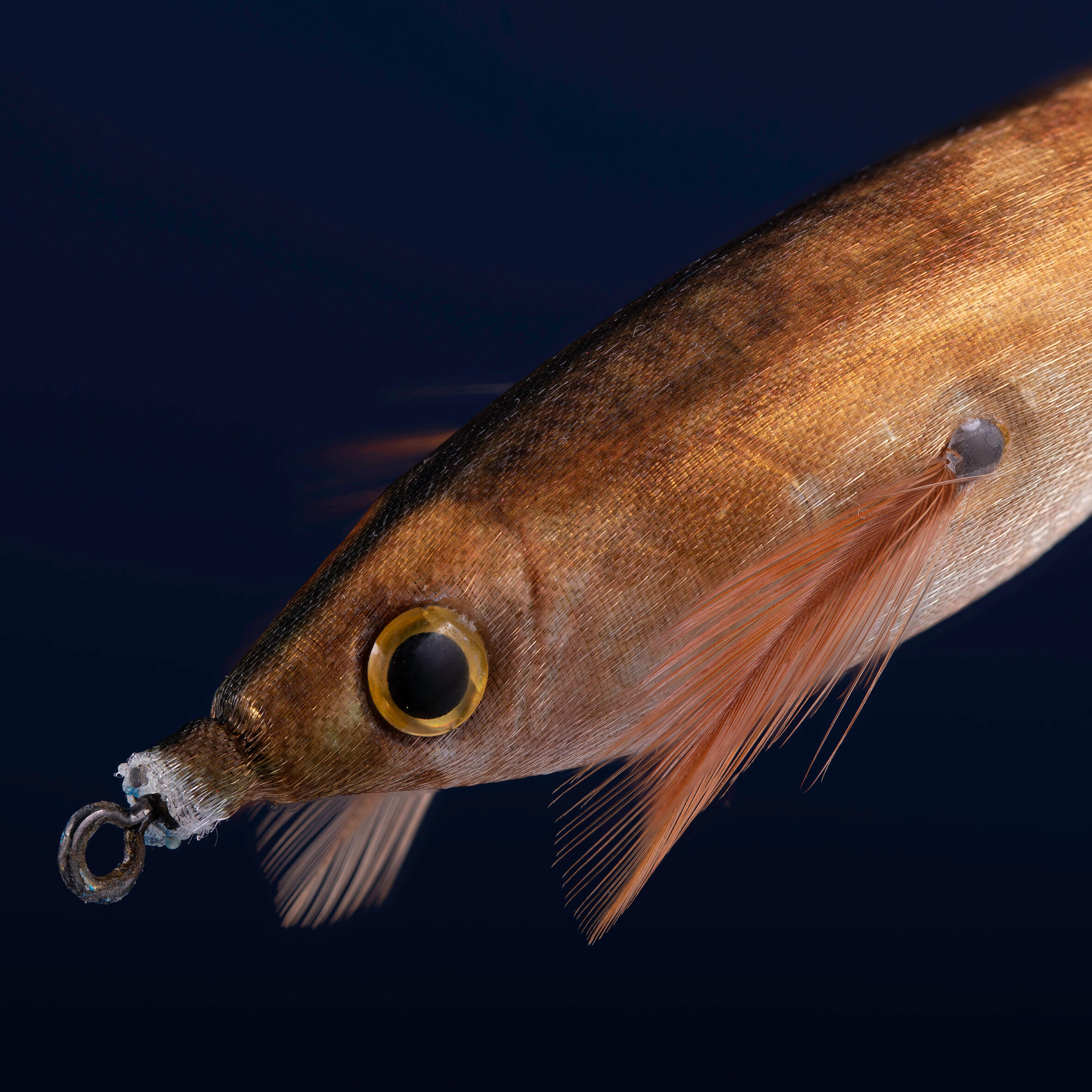 Turlutte flottant EBIFLO 2.5/110 Doré chinchard pêche des seiches / calamars 3/5