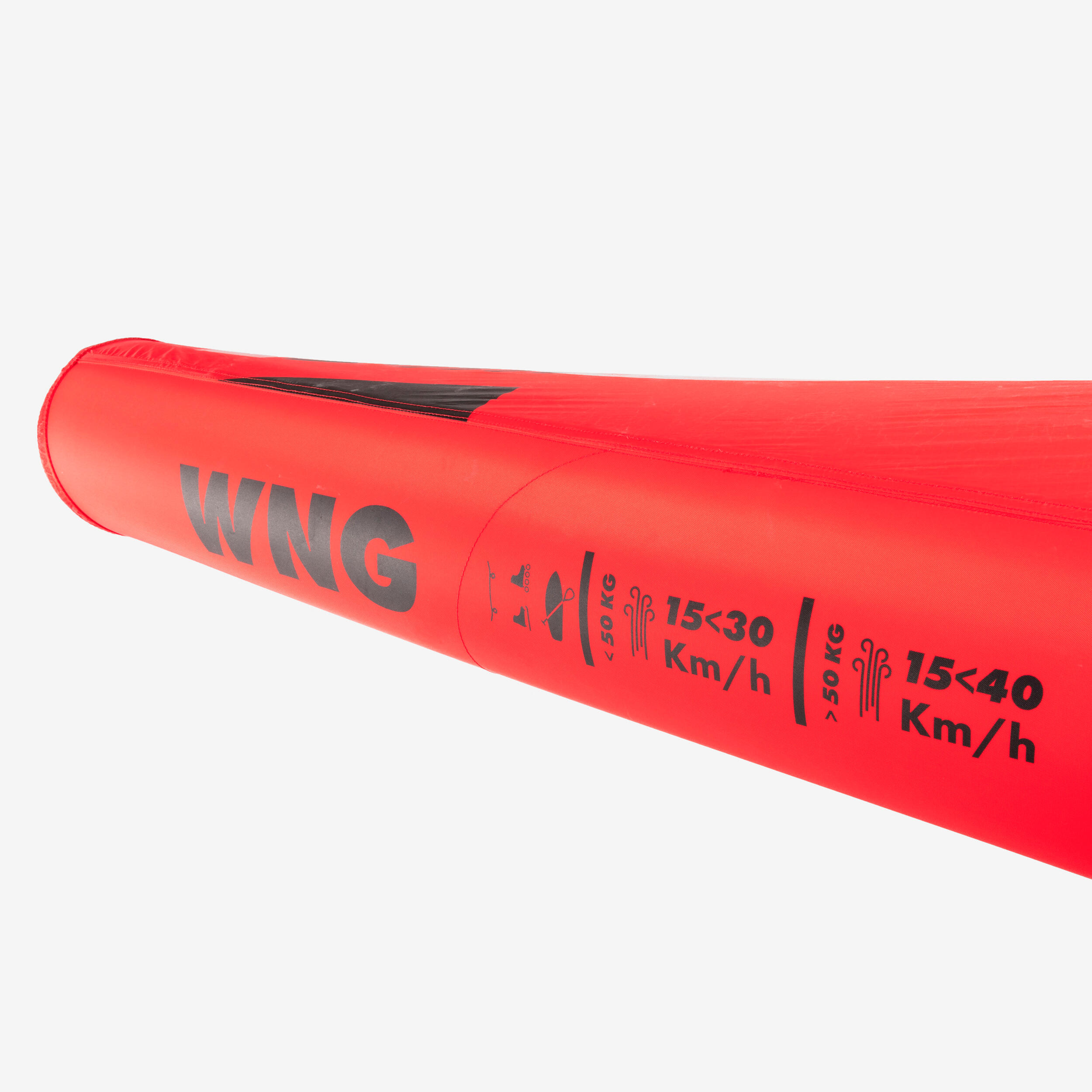 WING 100 2,5 m² 11/20