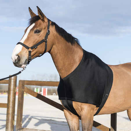 Horse Riding Shoulder Guard for Horse & Pony - Black