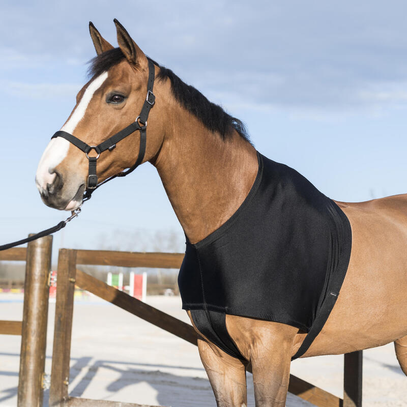 Protetor de Cernelha de Equitação para Cavalo e Pónei Preto 