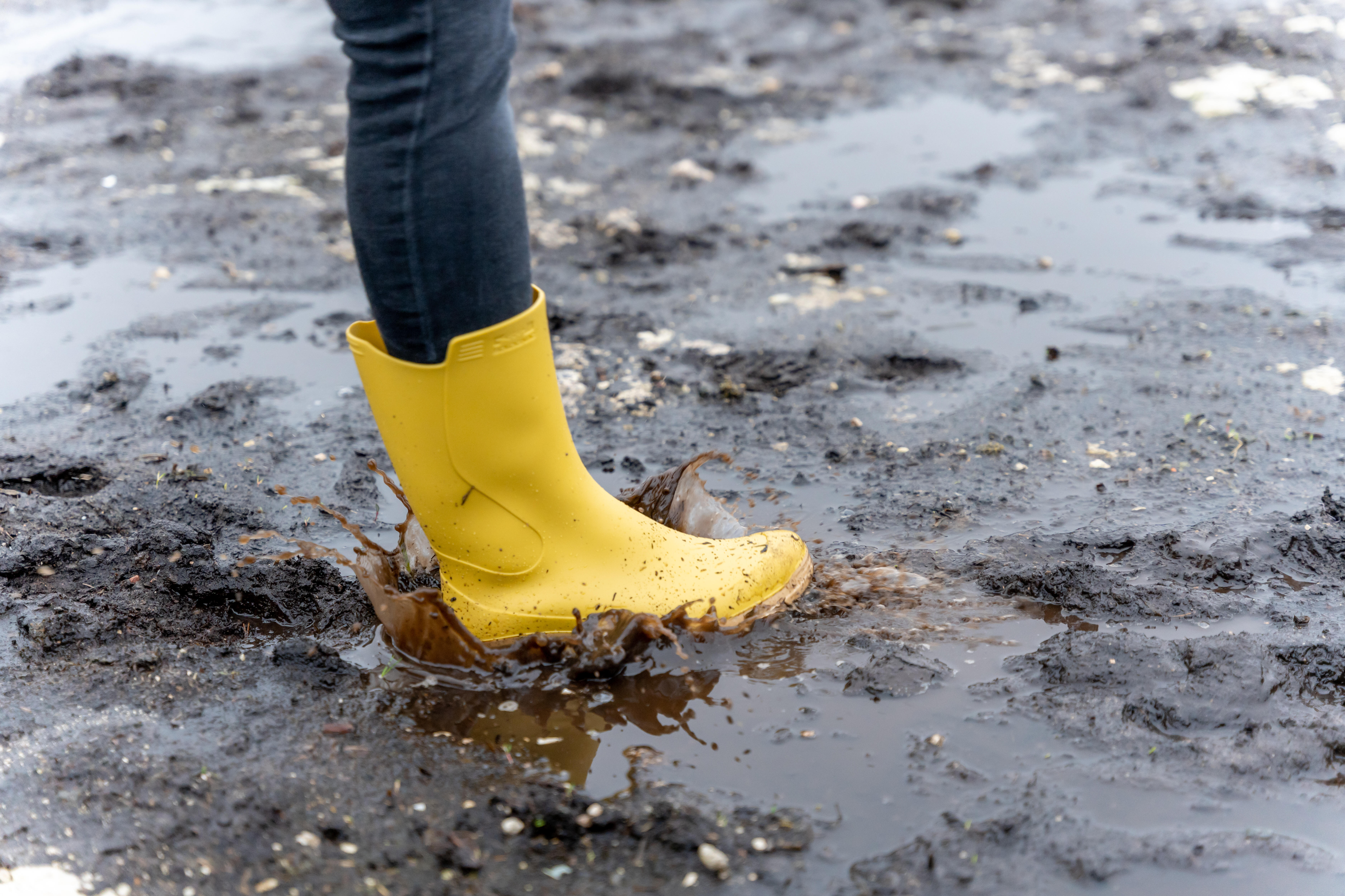 Bottes de pluie de chasse femmes - PVC légers 100 - SOLOGNAC