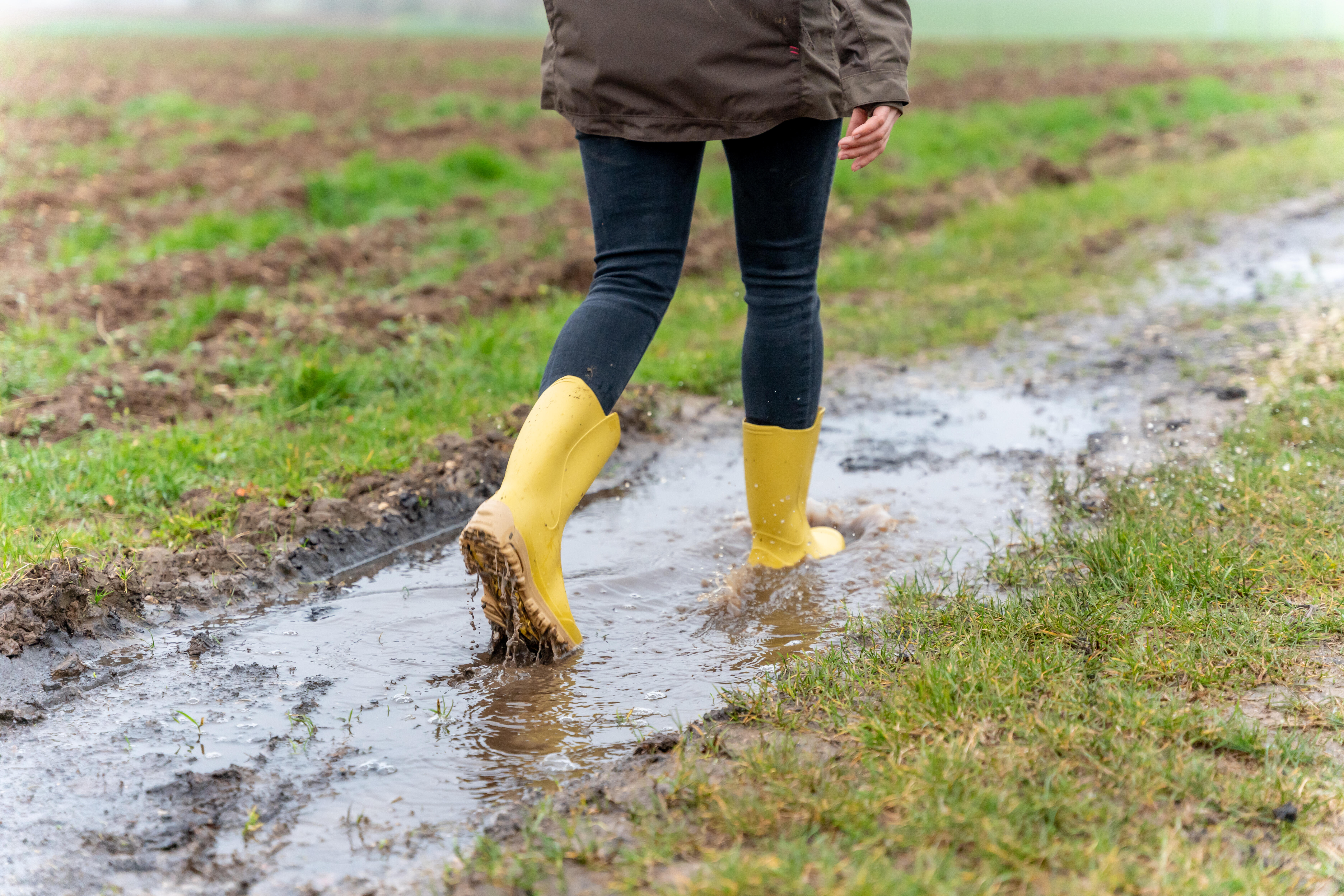 Bottes de pluie de chasse femmes - PVC légers 100 - SOLOGNAC