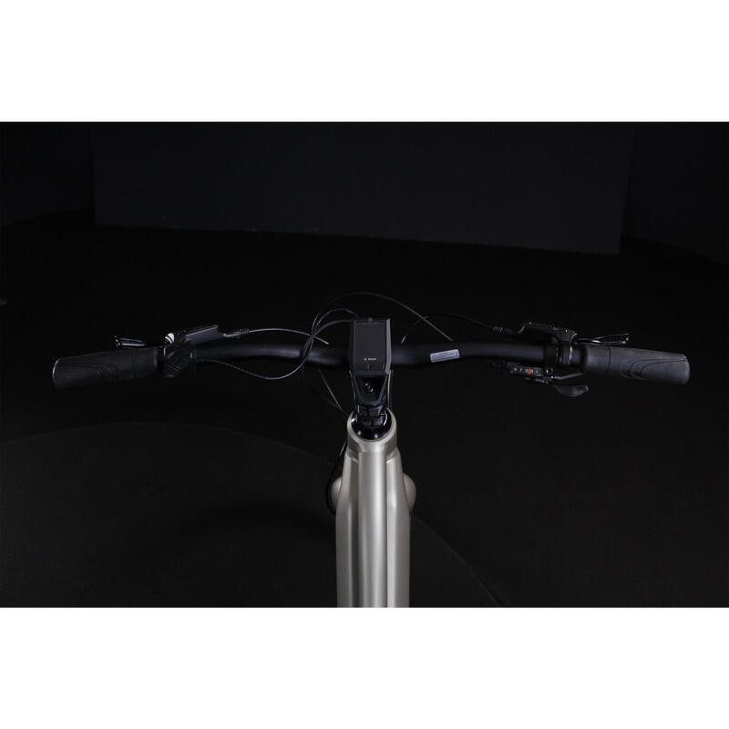 E-Bike Trekkingrad OGP 350 matt 