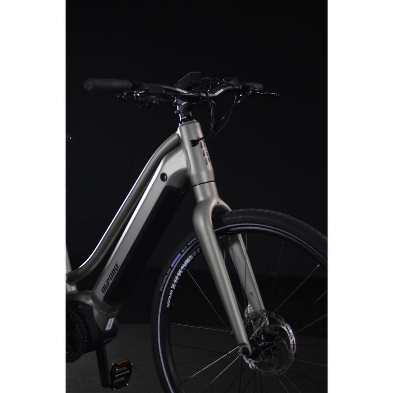 E-Bike Trekkingrad OGP 350 matt 