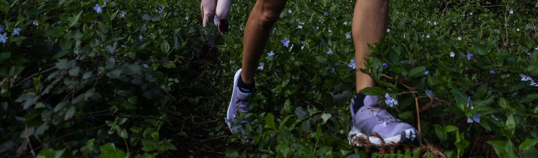 TRAIL : Quand le terrain conditionne votre course